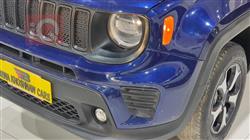 جيب رينيجيد